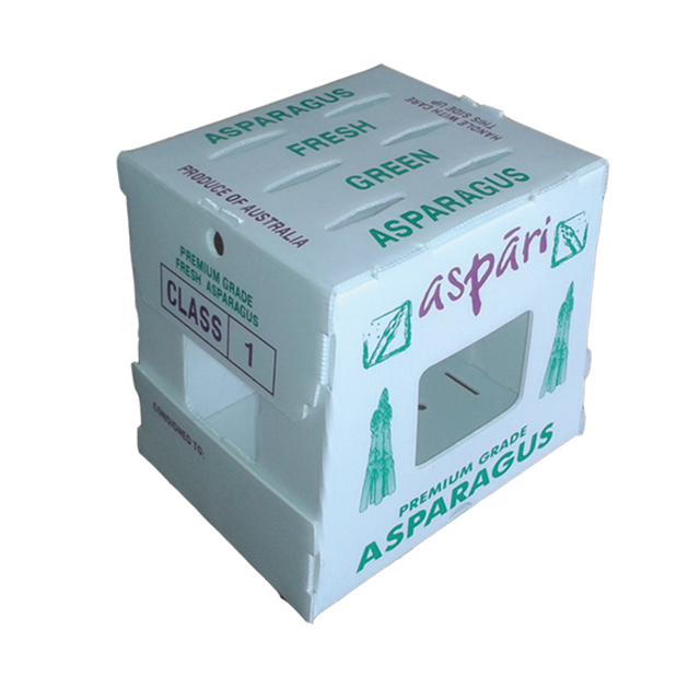 Polypropylene Corflute Asparagus Box