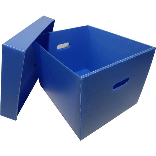 Polypropylene Plastic Corflute Archive Boxes for File Storage for File