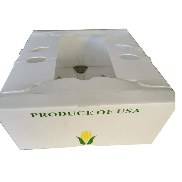 Polypropylene Corrugated Plastic Vegetable Box