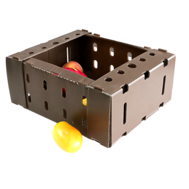 Polypropylene Corrugated Plastic Fruit Packing Box, Search Fruit
